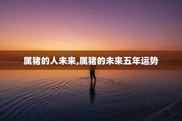 属猪的人未来,属猪的未来五年运势