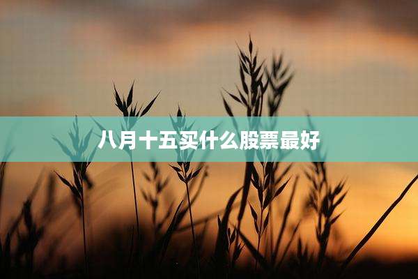 八月十五买什么股票最好