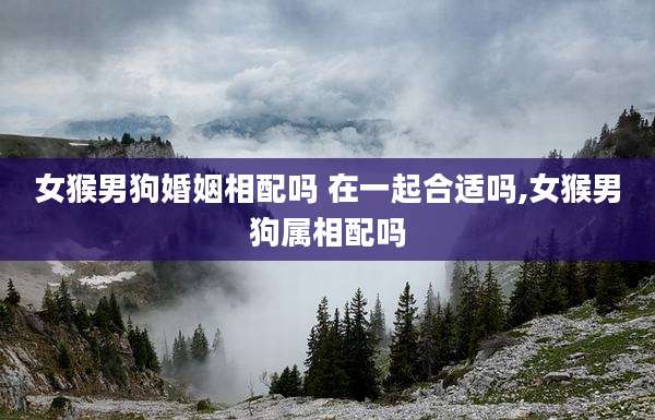 女猴男狗婚姻相配吗 在一起合适吗,女猴男狗属相配吗