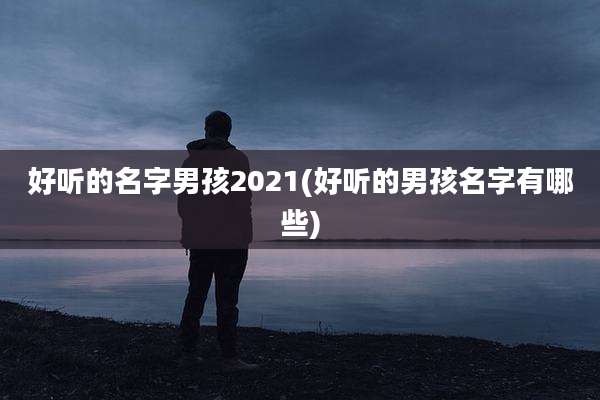 好听的名字男孩2021(好听的男孩名字有哪些)