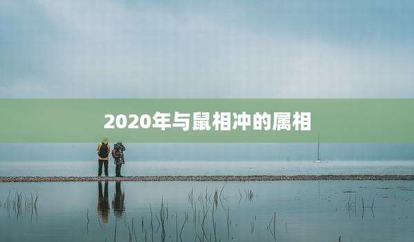 2020年与鼠相冲的属相