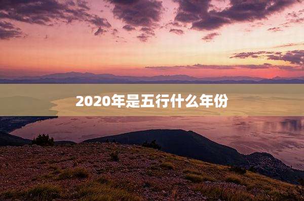 2020年是五行什么年份