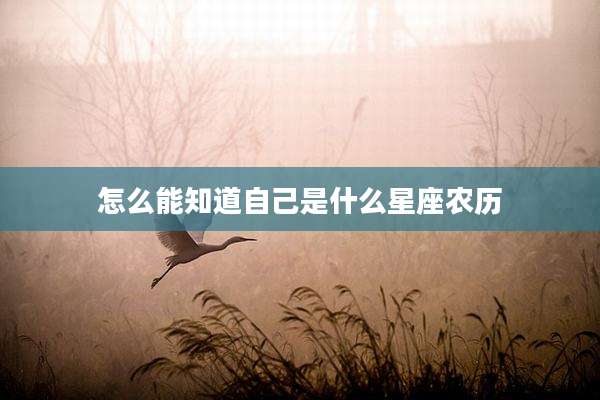 怎么能知道自己是什么星座农历