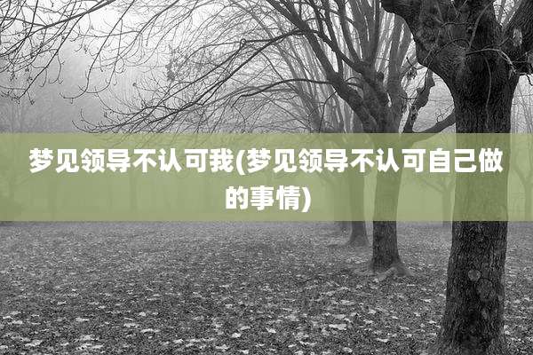 梦见领导不认可我(梦见领导不认可自己做的事情)