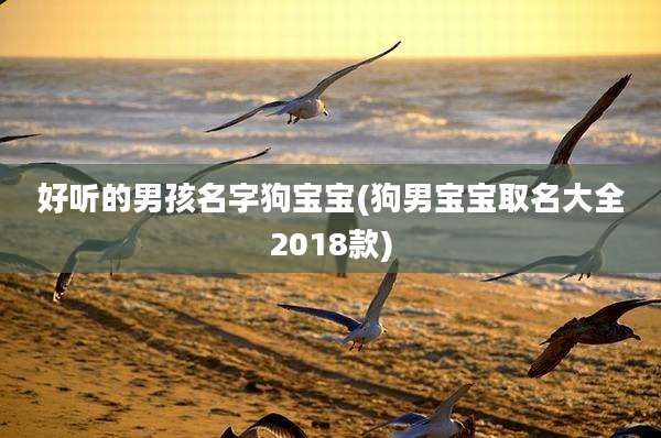 好听的男孩名字狗宝宝(狗男宝宝取名大全2018款)