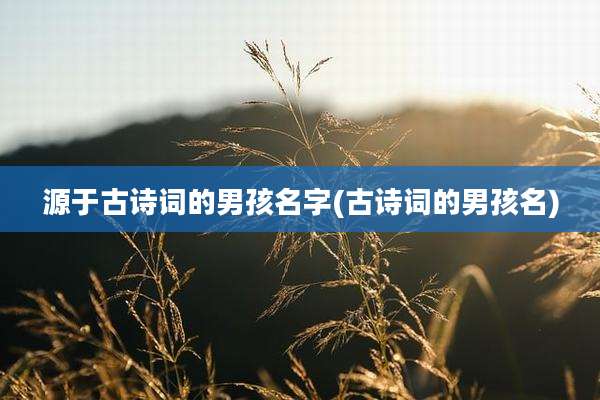 源于古诗词的男孩名字(古诗词的男孩名)