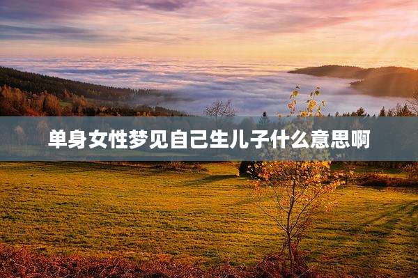 单身女性梦见自己生儿子什么意思啊