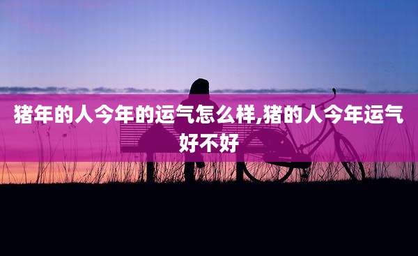 猪年的人今年的运气怎么样,猪的人今年运气好不好