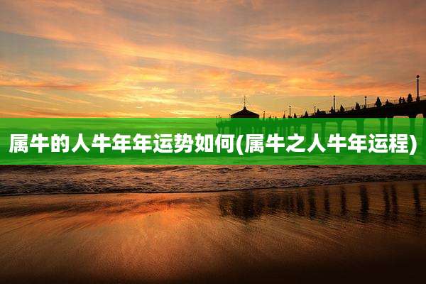 属牛的人牛年年运势如何(属牛之人牛年运程)