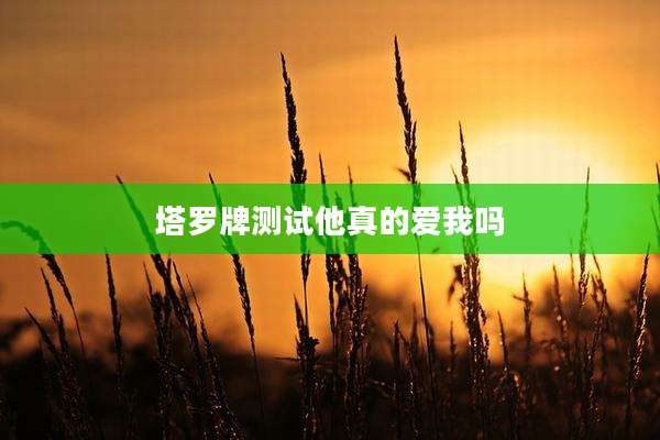 塔罗牌测试他真的爱我吗