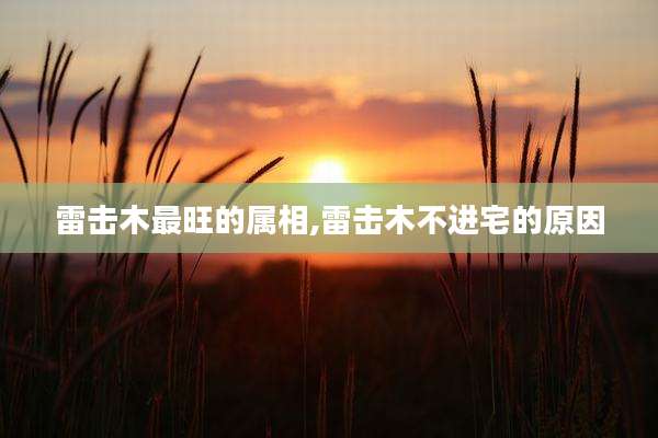 雷击木最旺的属相,雷击木不进宅的原因