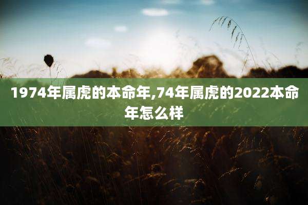 1974年属虎的本命年,74年属虎的2022本命年怎么样