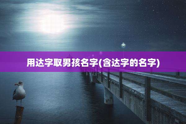 用达字取男孩名字(含达字的名字)