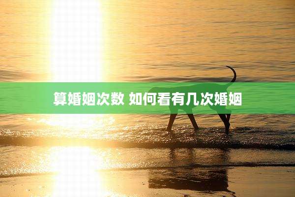 算婚姻次数 如何看有几次婚姻