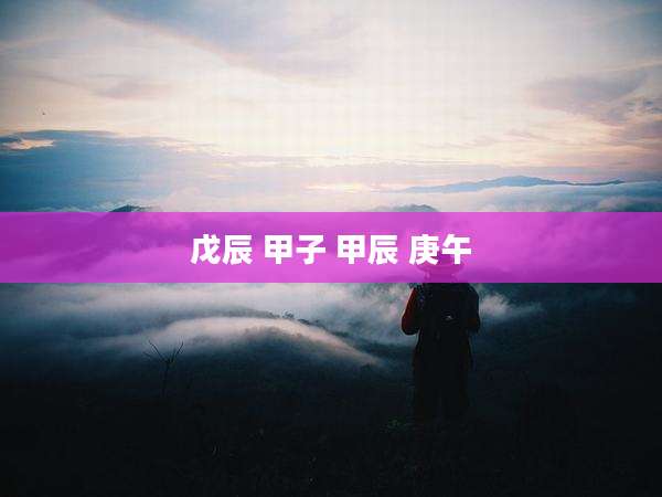 戊辰 甲子 甲辰 庚午