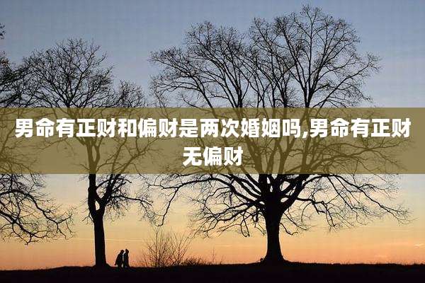 男命有正财和偏财是两次婚姻吗,男命有正财无偏财