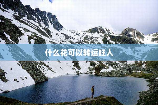 什么花可以转运旺人