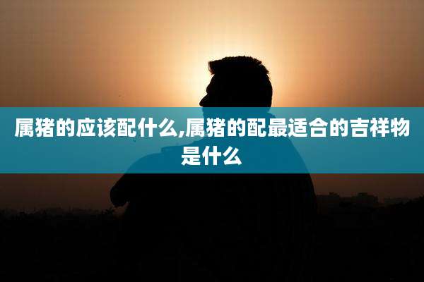 属猪的应该配什么,属猪的配最适合的吉祥物是什么
