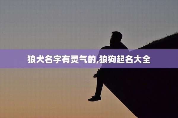 狼犬名字有灵气的,狼狗起名大全