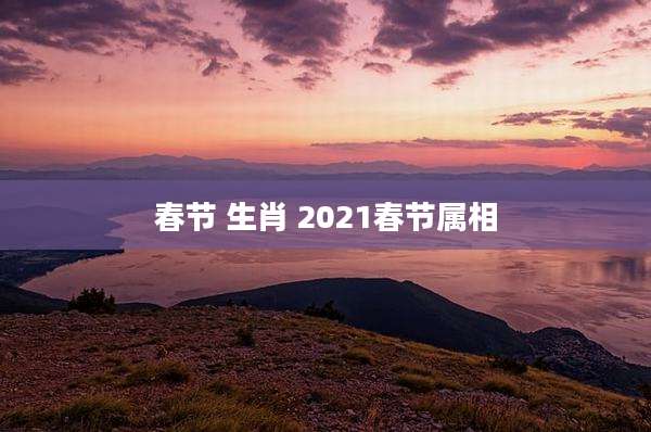 春节 生肖 2021春节属相