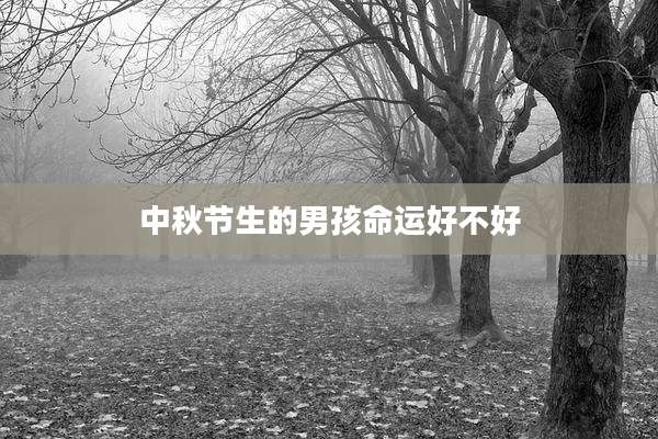 中秋节生的男孩命运好不好