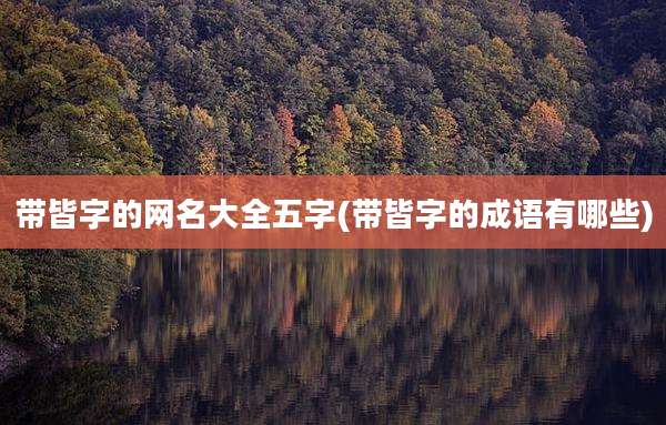 带皆字的网名大全五字(带皆字的成语有哪些)