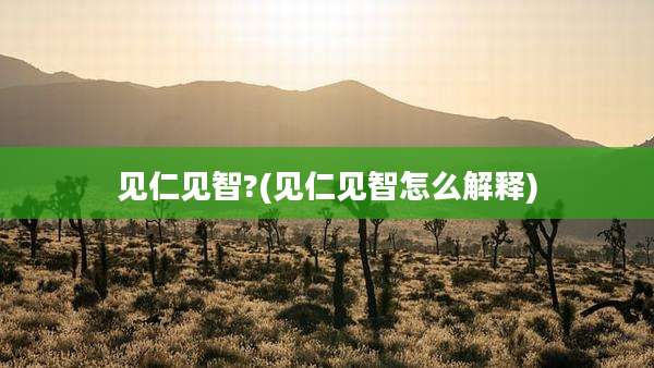 见仁见智?(见仁见智怎么解释)