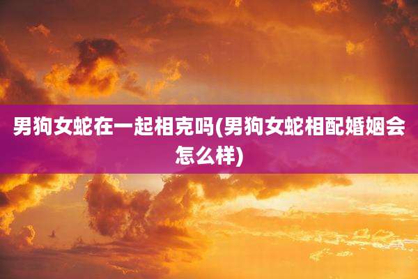 男狗女蛇在一起相克吗(男狗女蛇相配婚姻会怎么样)