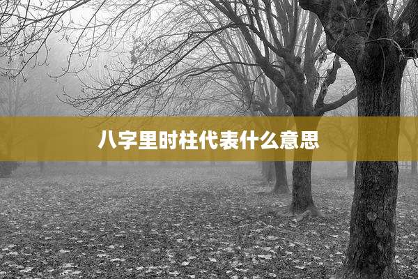 八字里时柱代表什么意思