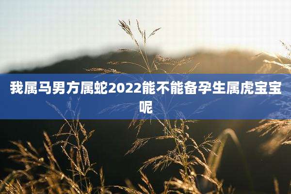 我属马男方属蛇2022能不能备孕生属虎宝宝呢