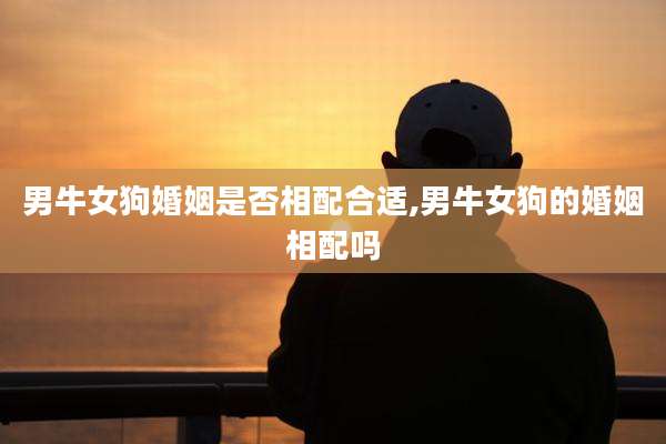 男牛女狗婚姻是否相配合适,男牛女狗的婚姻相配吗