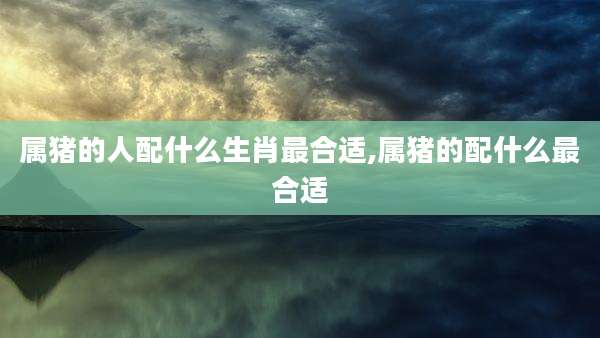 属猪的人配什么生肖最合适,属猪的配什么最合适