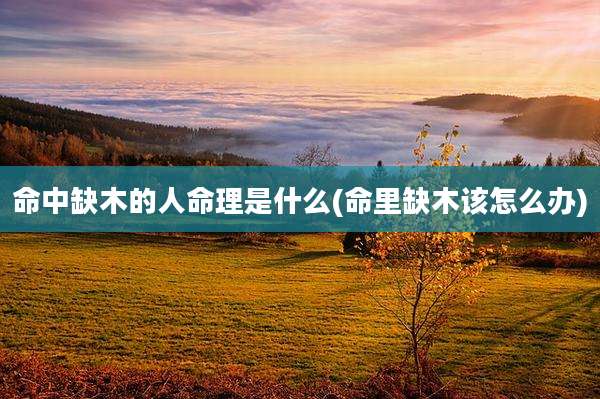 命中缺木的人命理是什么(命里缺木该怎么办)
