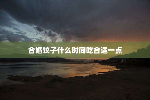 合婚饺子什么时间吃合适一点