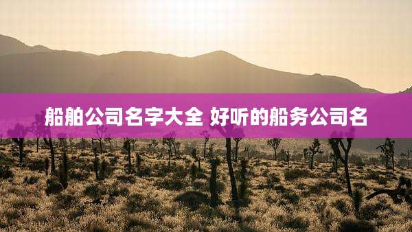 船舶公司名字大全 好听的船务公司名