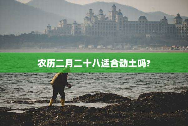 农历二月二十八适合动土吗?