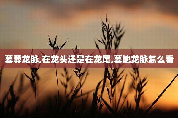 墓葬龙脉,在龙头还是在龙尾,墓地龙脉怎么看