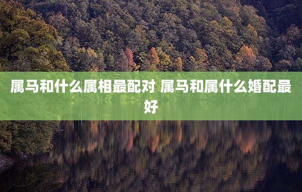属马和什么属相最配对 属马和属什么婚配最好