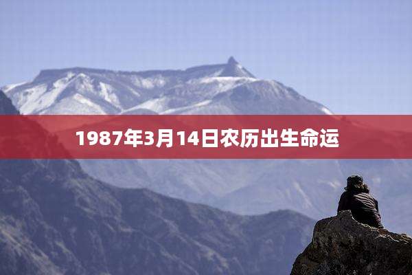 1987年3月14日农历出生命运