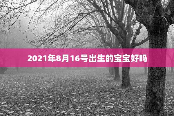 2021年8月16号出生的宝宝好吗