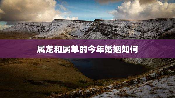 属龙和属羊的今年婚姻如何