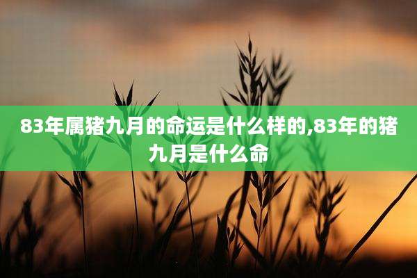 83年属猪九月的命运是什么样的,83年的猪九月是什么命