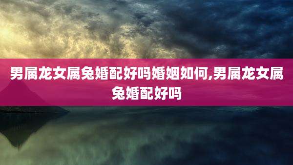 男属龙女属兔婚配好吗婚姻如何,男属龙女属兔婚配好吗