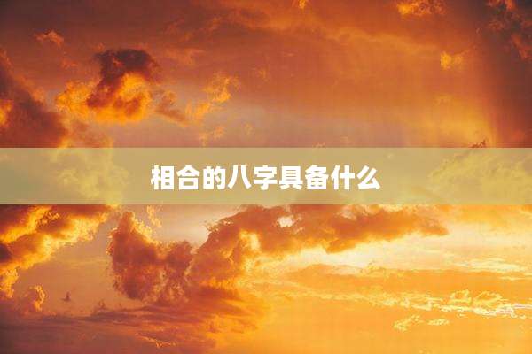 相合的八字具备什么