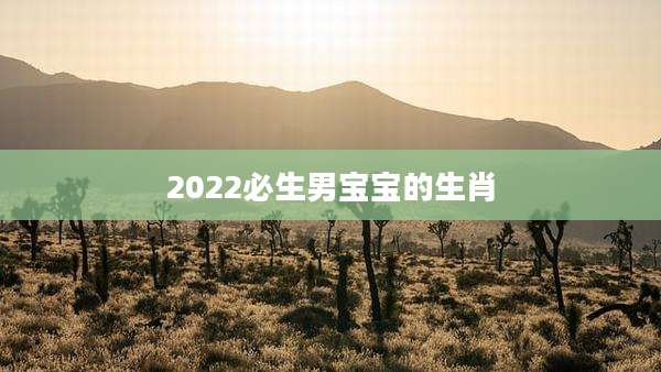 2022必生男宝宝的生肖