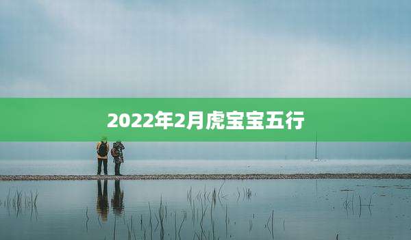 2022年2月虎宝宝五行