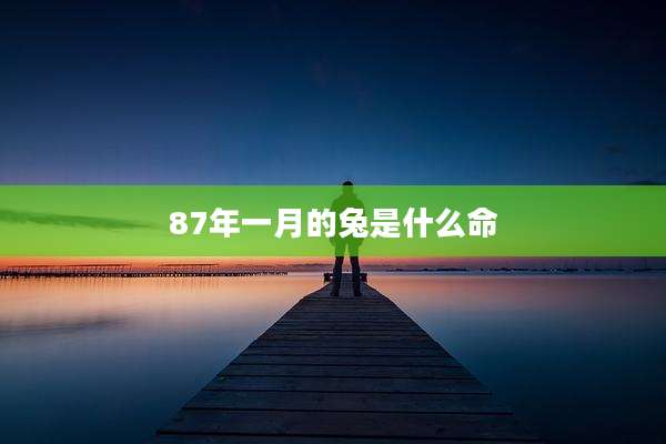 87年一月的兔是什么命