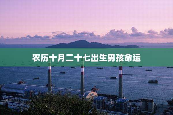 农历十月二十七出生男孩命运