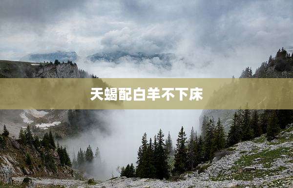 天蝎配白羊不下床