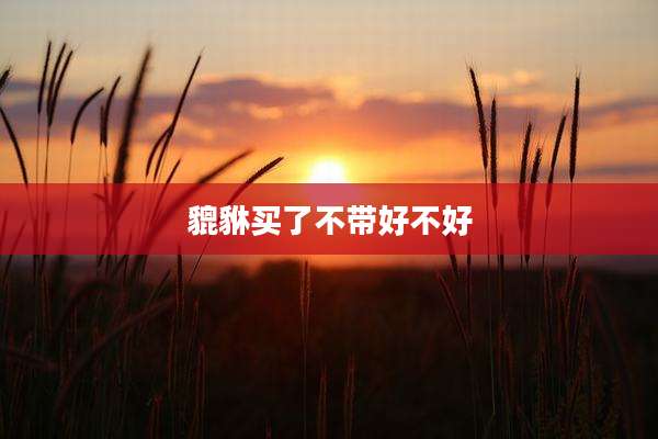 貔貅买了不带好不好